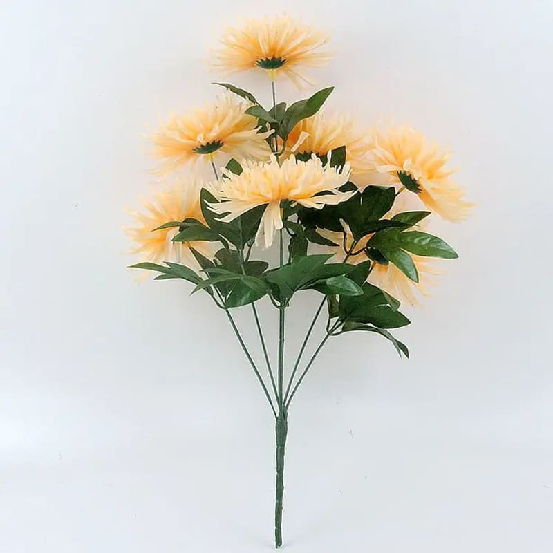 Chrysanthemum Orchid Helen