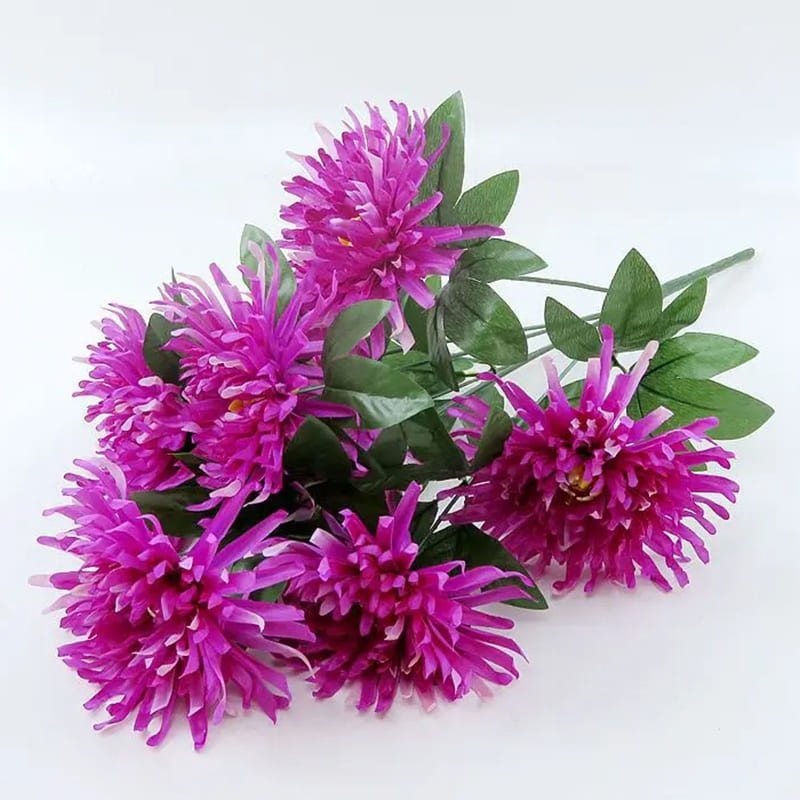 Chrysanthemum Orchid Helen