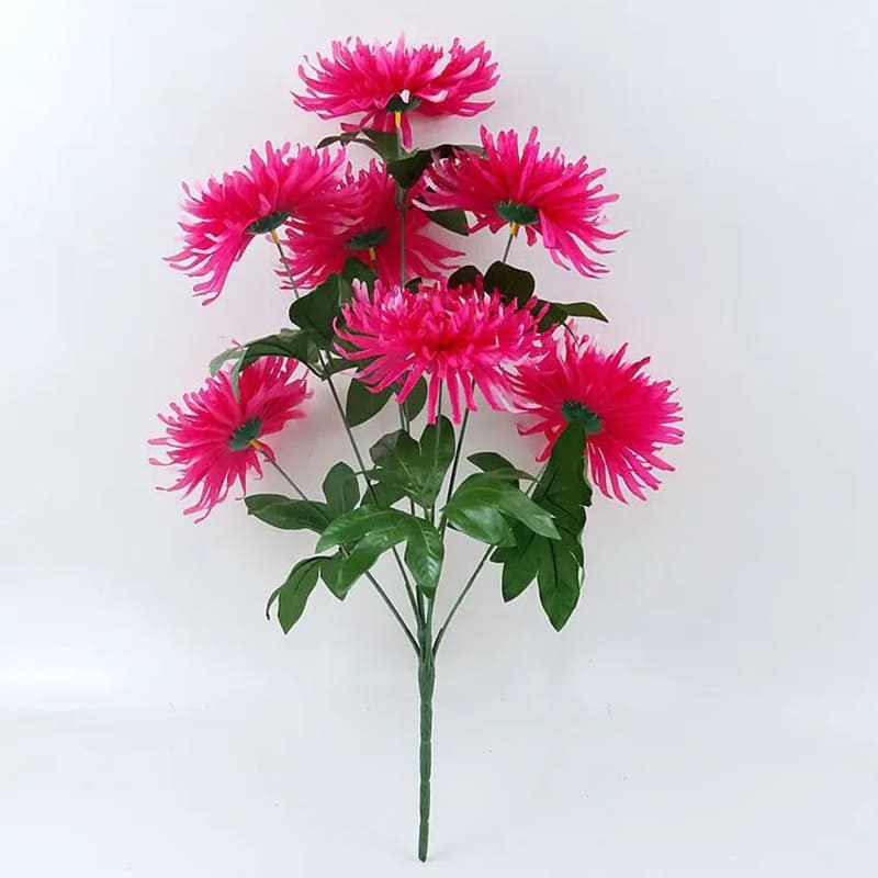 Chrysanthemum Orchid Helen
