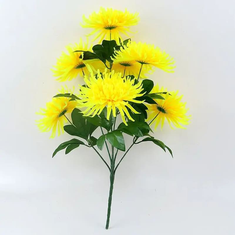 Chrysanthemum Orchid Helen