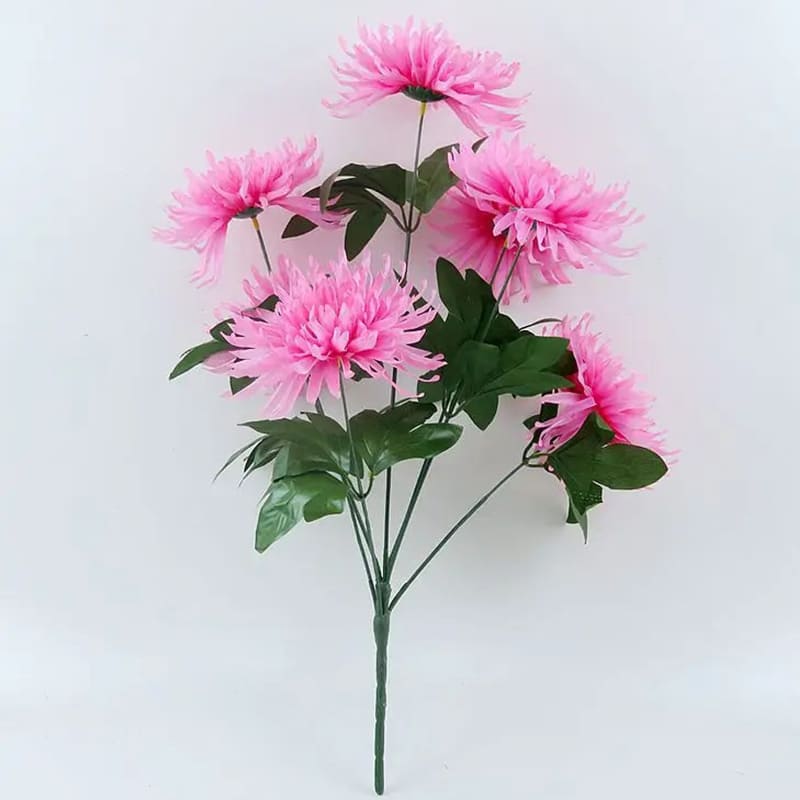 Chrysanthemum Orchid Helen