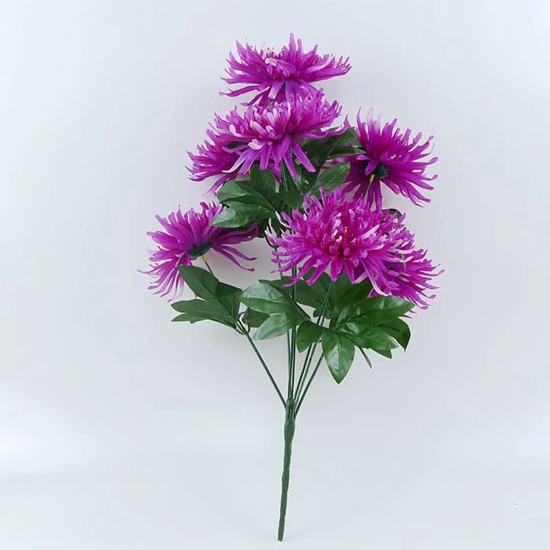 Chrysanthemum Orchid Helen