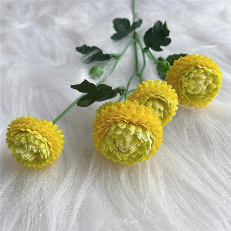 Dahlia Pompon