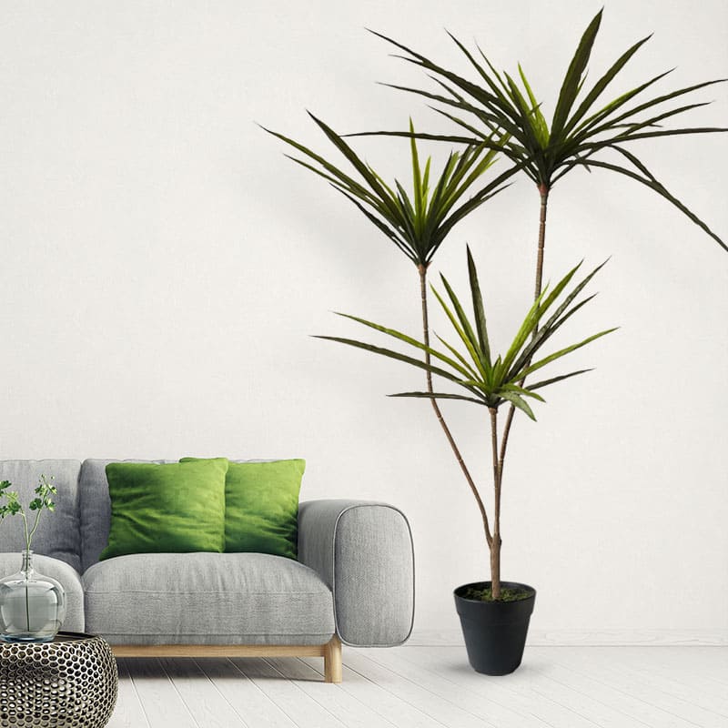 Plante Artificielle Dracaena Marginata
