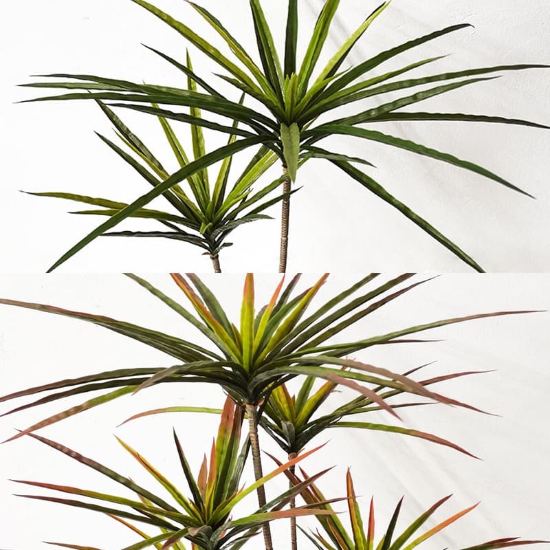 Plante Artificielle Dracaena Marginata