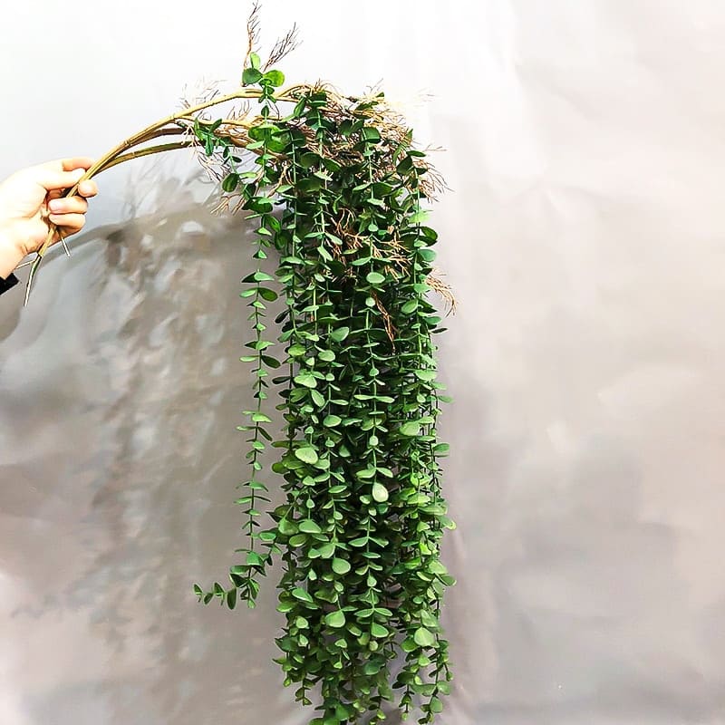 Eucalyptus Artificiel.