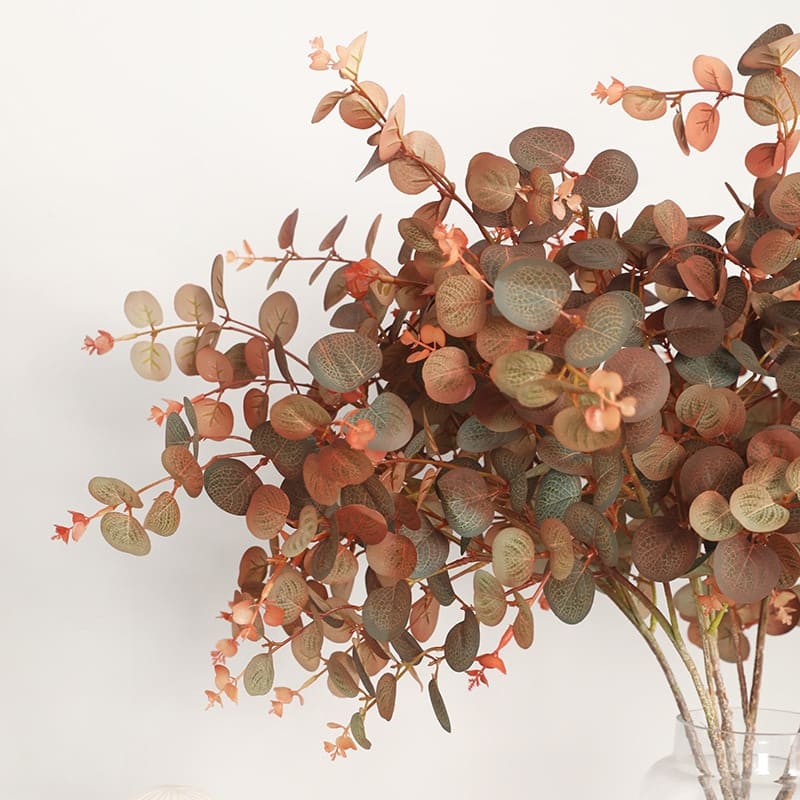 Eucalyptus Automne