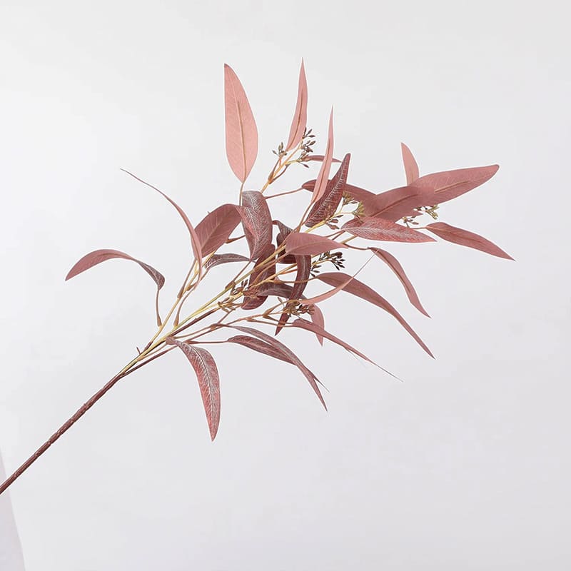 Eucalyptus Globulus