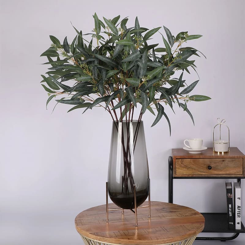 Eucalyptus Globulus
