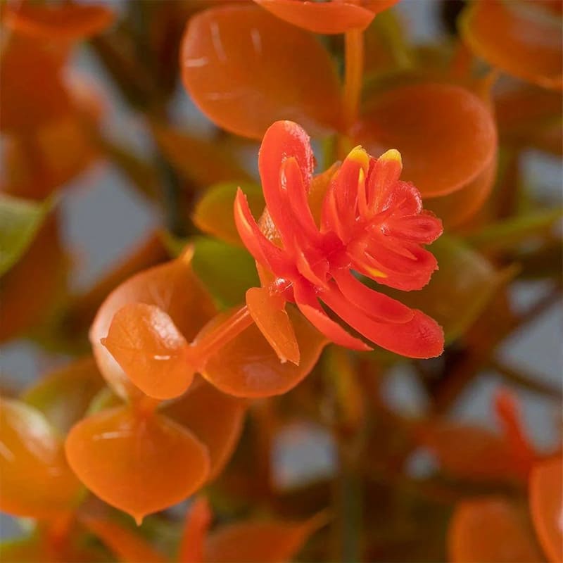 Eucalyptus Plastique