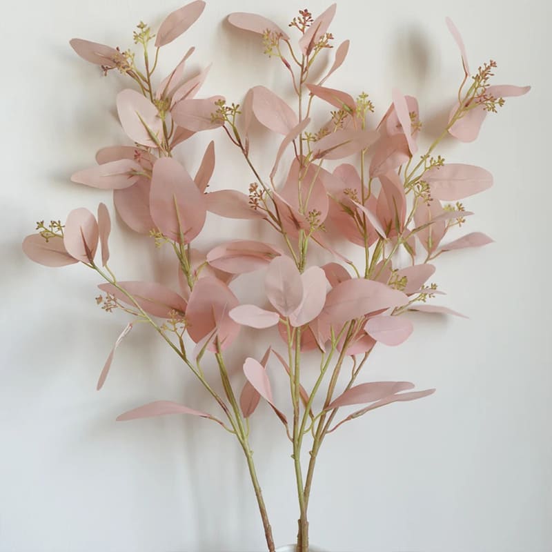 Eucalyptus Rose