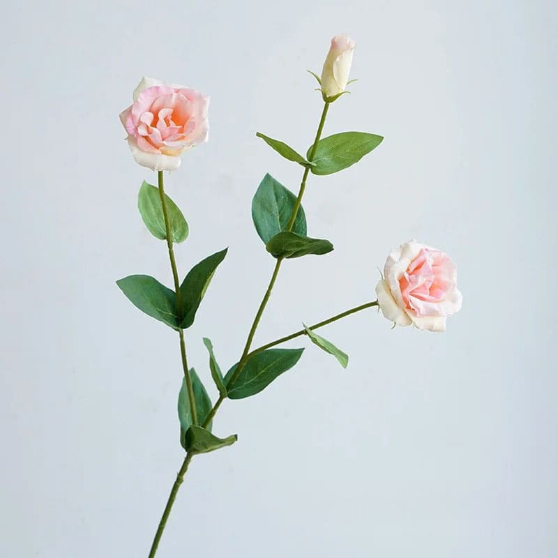 Eustoma Lisianthus: Bouquet de Fleurs Fraîches