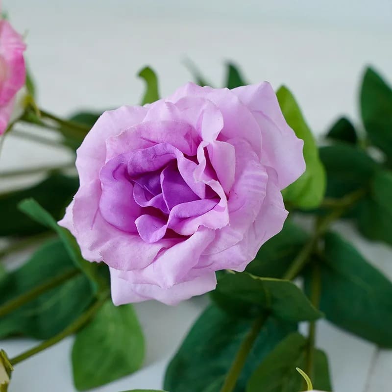 Eustoma Lisianthus: Bouquet de Fleurs Fraîches