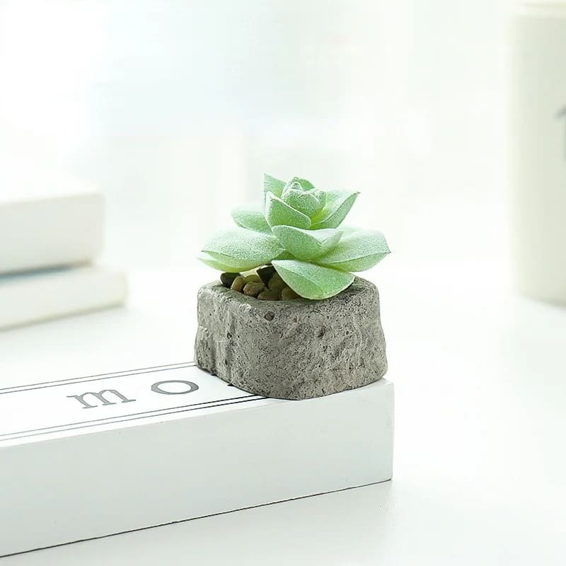 Plante Grasse Artificielle Compacte