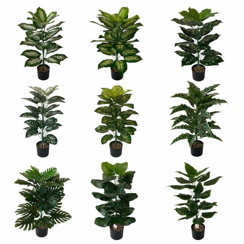 Fausse Plante Intérieur Décorative