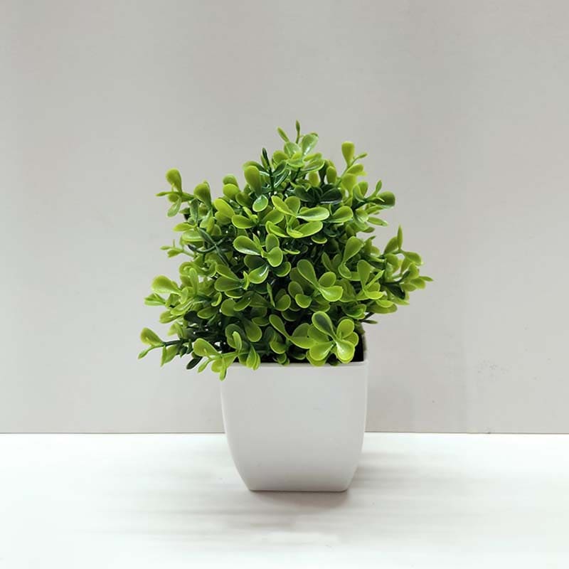 Fleur de Cerisier