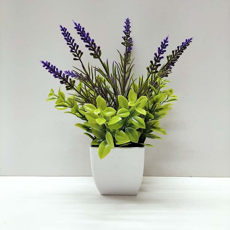 Fleur de Cerisier