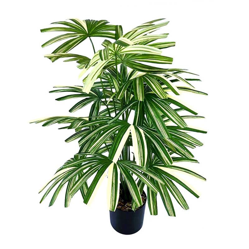 Fausse Plante Verte