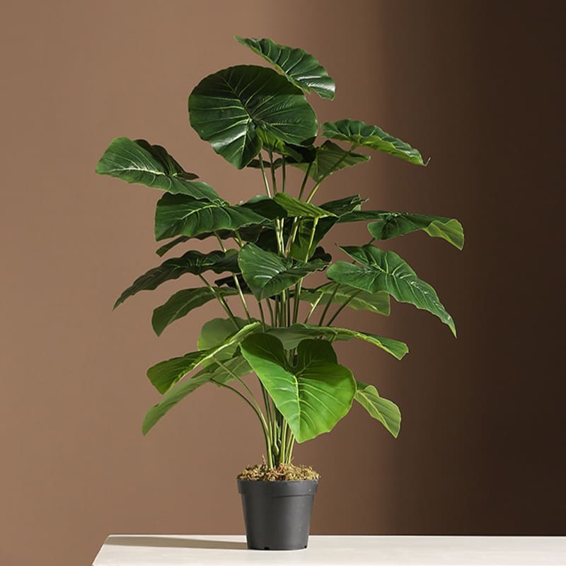 Philodendron Artificiel