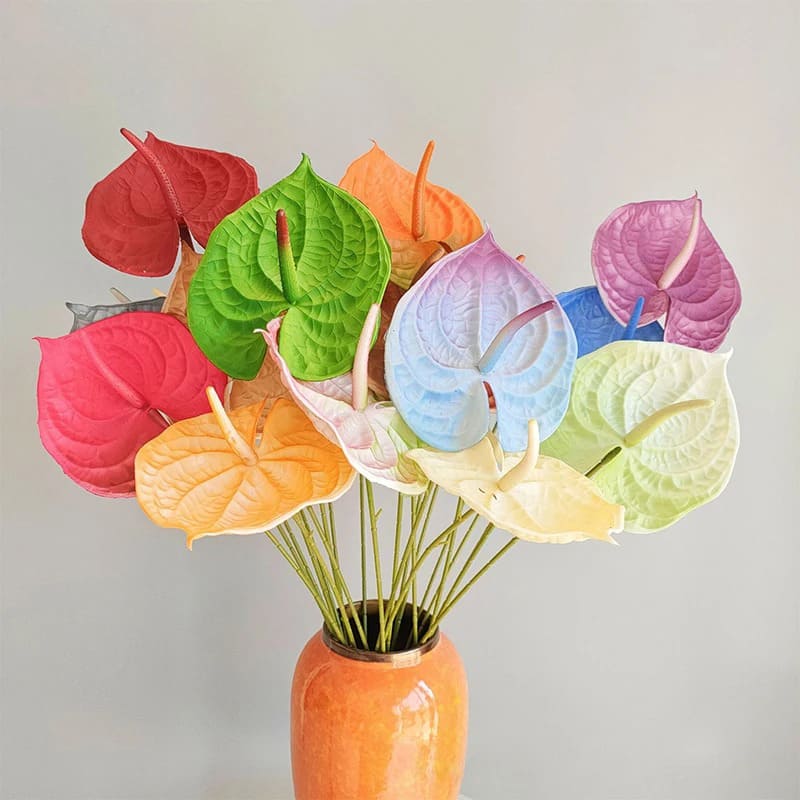 Anthurium Rouge Vif