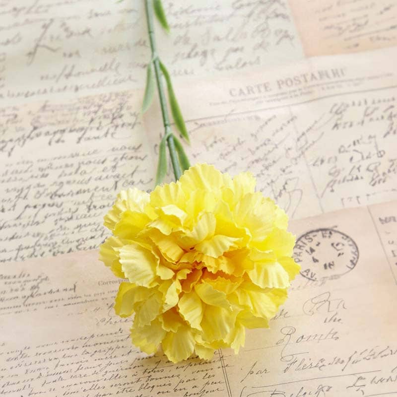 Carnation Flowers