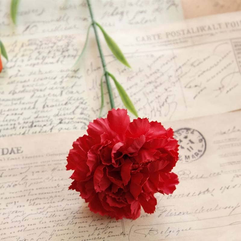 Carnation Flowers