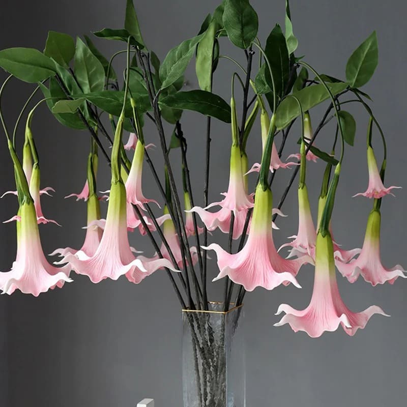 Fleur Datura.