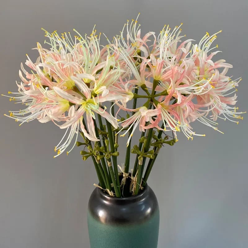 Fleur Higanbana Japonaise
