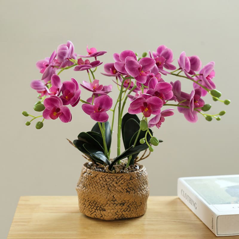 Orchidée Blanche en Soie