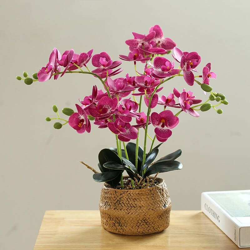 Orchidée Blanche en Soie