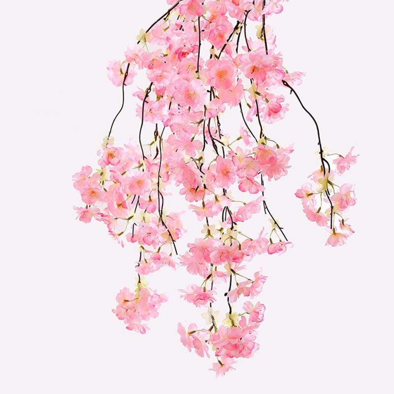 Fleur de Cerisier