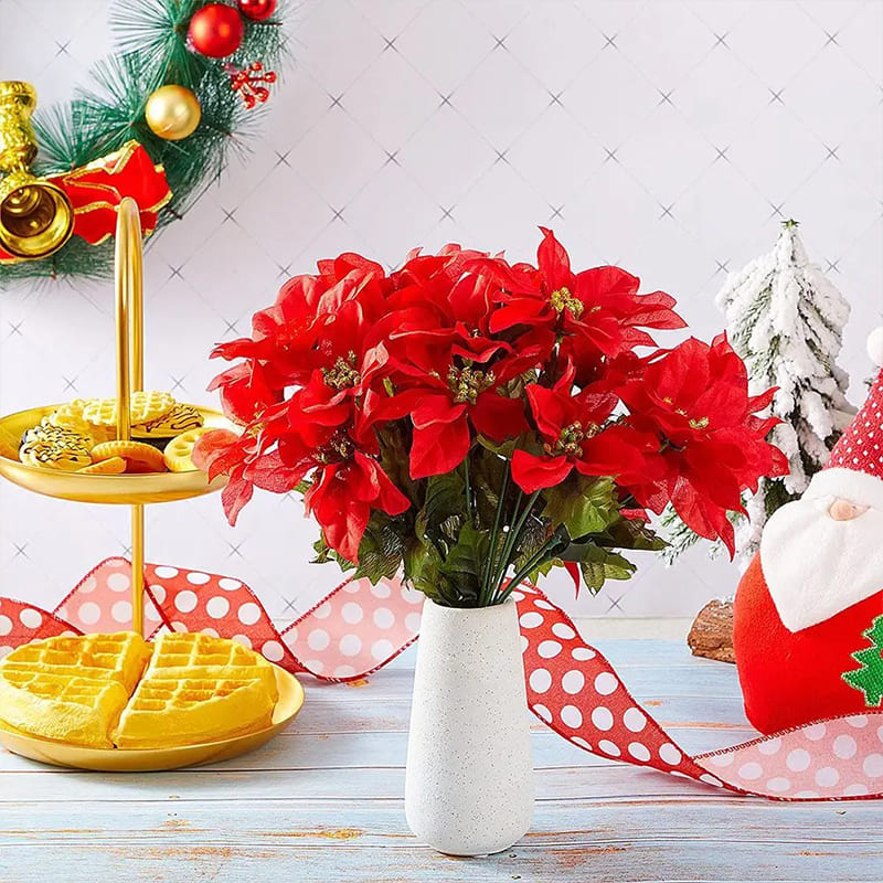 Poinsettia Rouge Intense