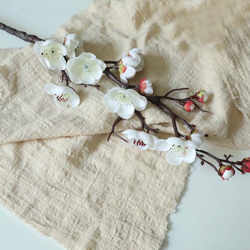 Fleurs de Prunier