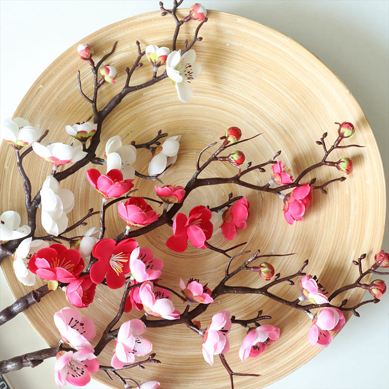 Fleurs de Prunier