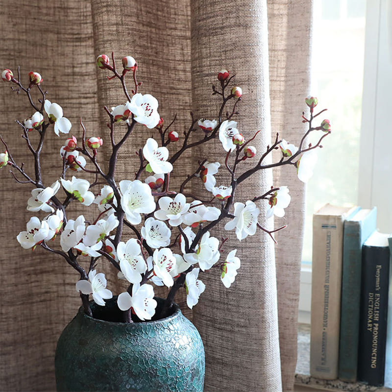 Fleurs de Prunier