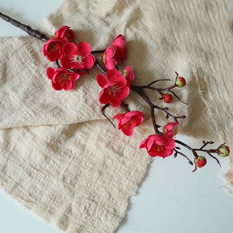 Fleurs de Prunier