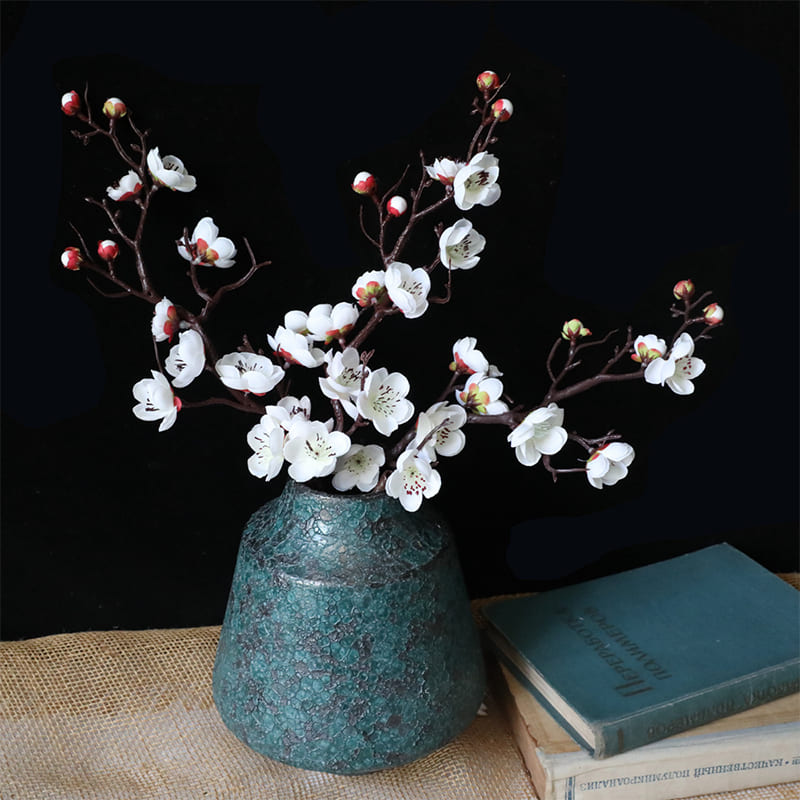 Fleurs de Prunier