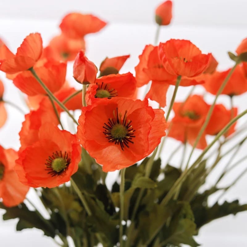 Coquelicots Artificiels