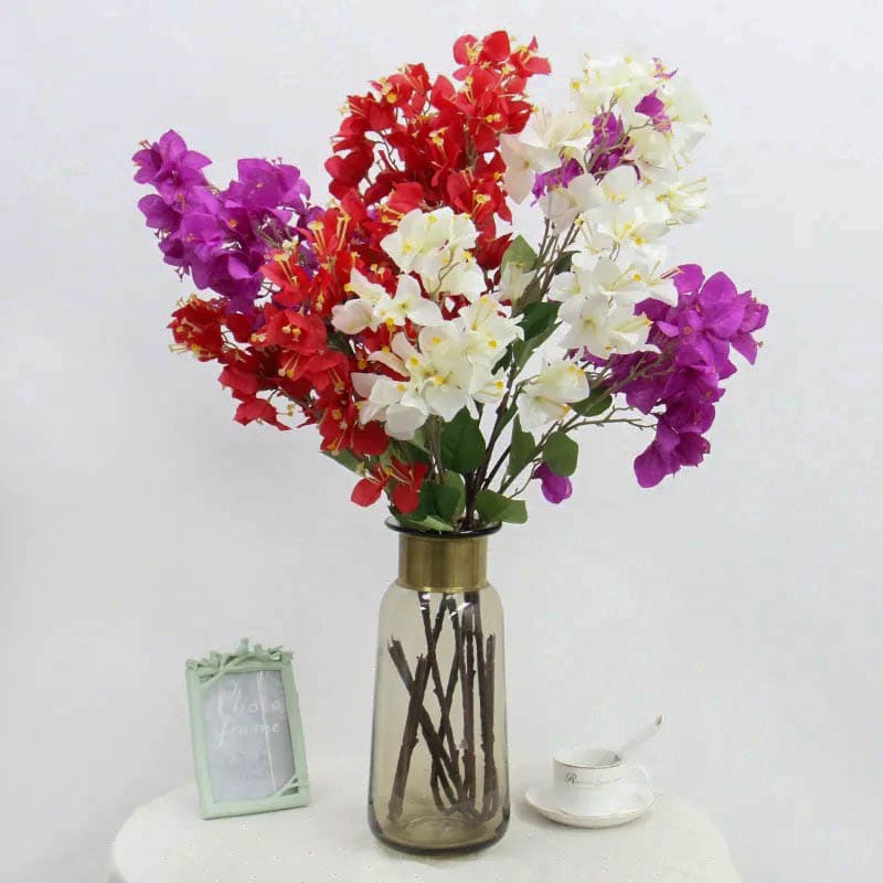Bougainvillier : Fleurs Vivifiantes