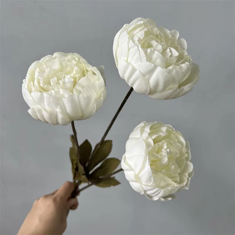 Pivoines de luxe