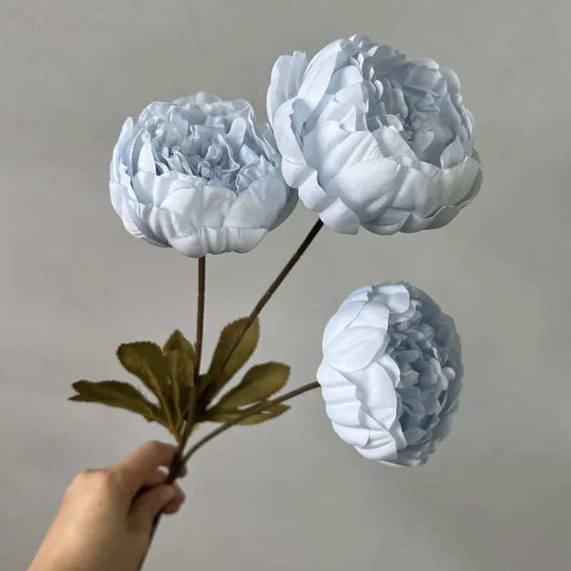 Pivoines de luxe