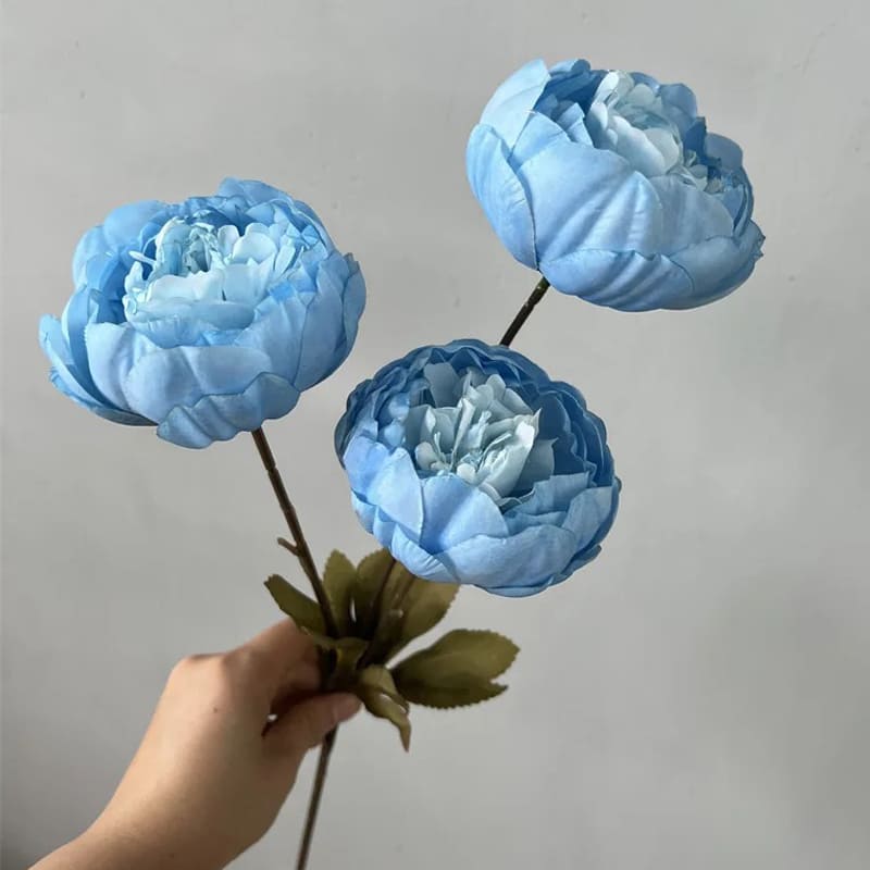 Pivoines de luxe