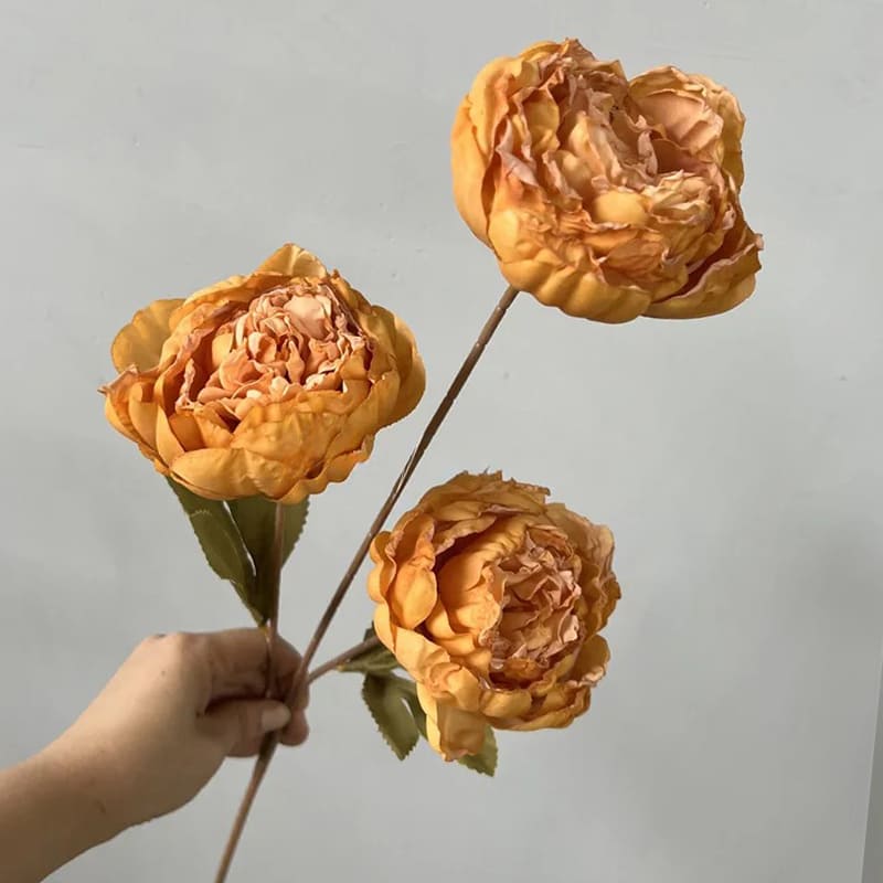 Pivoines de luxe