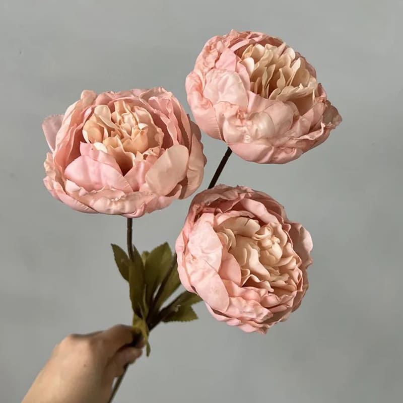 Pivoines de luxe