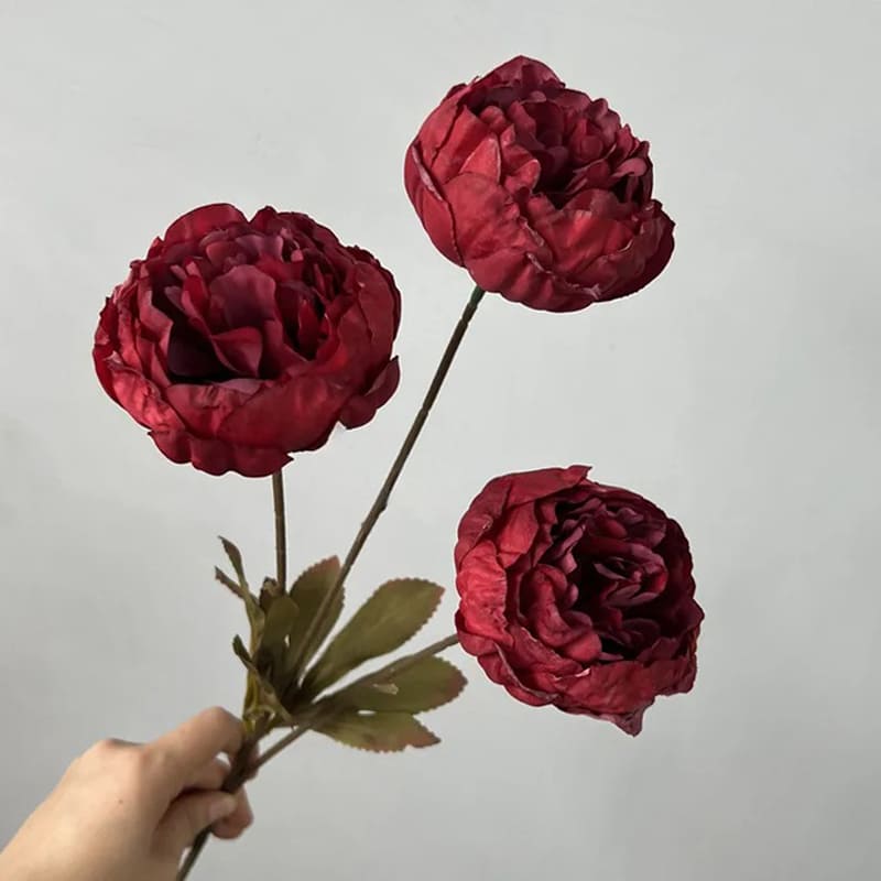 Pivoines de luxe