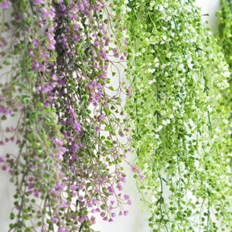 Fleurs Tombantes