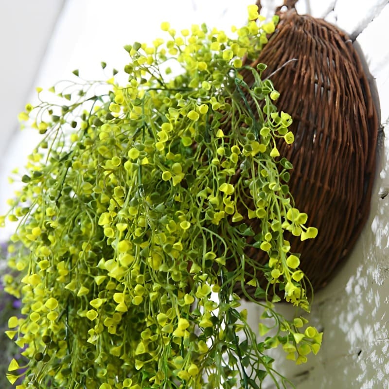 Fleurs Tombantes