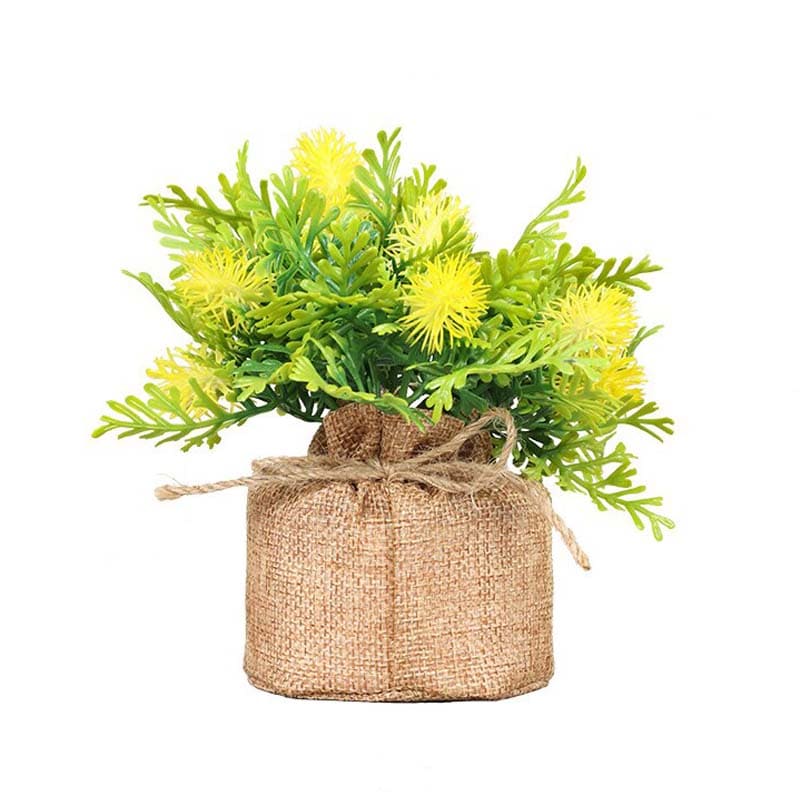 Fougère en Pot.
