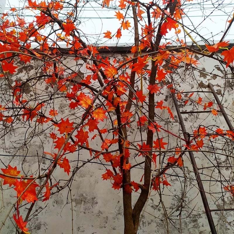 Guirlande Feuilles d'Automne