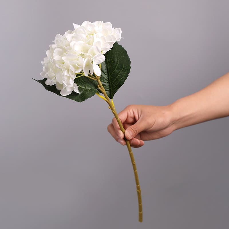 Hortensia Artificiel